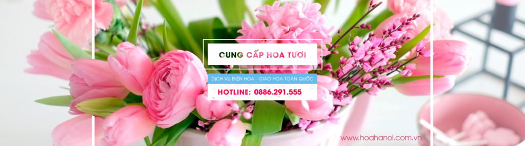 Hoa Tươi 01